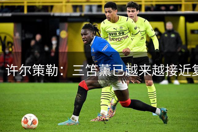许尔策勒：三笘薰已越来越接近复出；明特还要缺席好几周